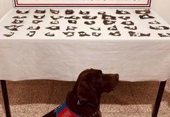 Van'da hap kapsüllerinin içine gizlenmiş bonzai ele geçirildi