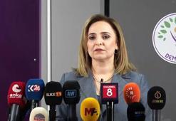 DEM Parti'li Doğan: Öcalan görüşmesi ile ilgili tüm siyasi partiler demokratik olgunluk göstermeli