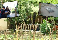 Bağ evi patlamasının tanığı: Patronumu piknik tüpü ve demir parçalarıyla gördüm