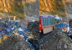 Sarp Sınır Kapısı'nda 6 ton mandalina imha edildi