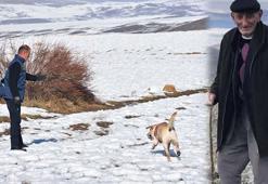 Sivas'ta 8 gündür kayıp; karlı arazide 'Palet' arama yapıyor