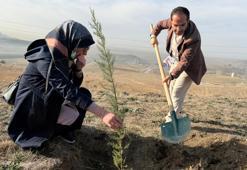 Ankara'da öğretmenler fidan dikti