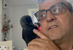 Kızının otomobili ile eve kadar gelen kargayı sahiplendi