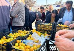 Hatay'da üreticiler, alıcı çıkmayan tonlarca mandalinayı ücretsiz dağıttı