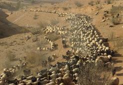 Göçerlerin zorlu yolculuğu başladı