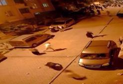Arnavutköy'de mahalledeki taşlı sopalı kavga kamerada