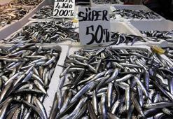 Trabzon’da hamside fiyat düştü, ilgi arttı