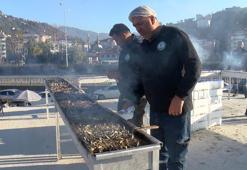 Rize'deki festivalde 2 ton hamsi 2 saatte tüketildi