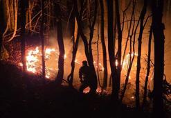 Ordu’da örtü yangını, ormana sıçradı