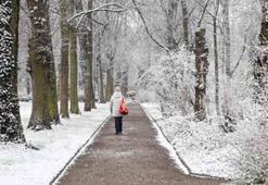 Almanya'da kar yağışı trafik kazalarına neden oldu: 3 ölü