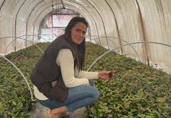 Baba mesleğini süs bitkileri ihracatı ile sürdüren mühendis Nihal, kadın çiftçilerle çalışıyor
