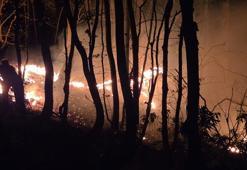 Ordu'da ormana da sıçrayan örtü yangını kontrol altına alındı