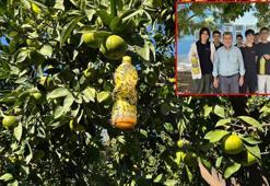 Öğrencilerin tarım zararlısına karşı ürettikleri ürünü, çiftçiler kullanmaya başladı