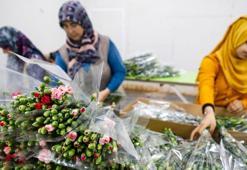 Çiçekte 10 aylık ihracat rekoru