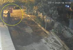 Osmaniye’de mavi yumurtlayan özel cins tavuk hırsızlığı kamerada