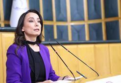 DEM Parti'li Hatimoğulları: Türkiye'nin ve bölgenin barışa ihtiyacı var