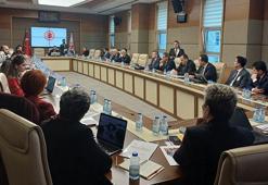 TBMM Engelli Bireylerin Sorunlarını Araştırma Komisyonu toplandı; 33 çocuktan 1'i otizm tanısı alıyor
