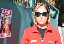 Kayıp köpeği Yaşar'ı bulana 50 bin lira verecek