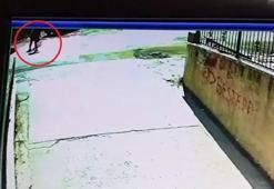 2 kardeşin öldüğü kazada kamyon şoförü için 15 yıla kadar hapis istemi