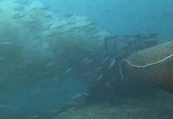 Çanakkale Boğazı'nda denize dökülen pis su, dalgıç kamerasında