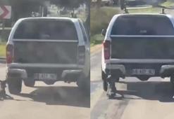 Milas'ta kamyonete bağlanarak sürüklenen köpek öldü; 2 gözaltı