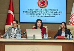 Komisyonda 'İmralı ziyareti' tartışması