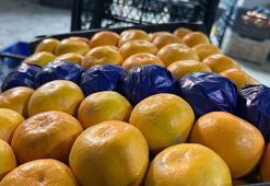 Hatay'da dalında kalan mandalinadan meyve suyu üretilecek