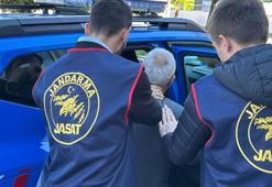 Ordu'da jandarma operasyonlarında 64 tutuklama