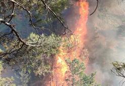 Hatay'da orman yangını kontrol altında