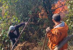 Artvin’de örtü yangını ormana yayıldı