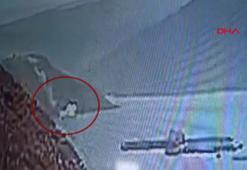 Van'da baraj gölüne yuvarlanan otomobildeki 3 kişi öldü