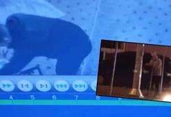 Bağcılar'da caminin yeniden yapılması için para toplanan yardım kutuları soyuldu