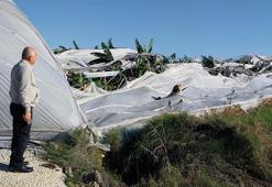 Manavgat'ta hortum, seralara zarar verdi