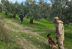 Bursa’da 3 gündür kayıp olan alzheimer hastası için arama çalışmaları sürüyor