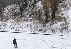 Kars'a mevsimin ilk karı düştü