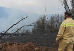 Artvin’deki örtü yangını kontrol altına alındı