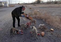 Esnaftan topladığı yiyeceklerle gönüllü olarak sokak hayvanlarını besliyor