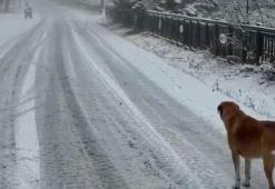 Uludağ’da kar kalınlığı 5 santimetreye ulaştı