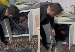 Firari hükümlü mutfak dolabında yakalandı
