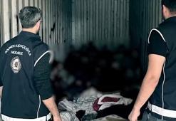 Konteynerde 44 düzensiz göçmen yakalandı; 9 organizatör tutuklandı