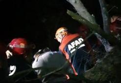 Bursa’da ormanda mahsur kalan vatandaş ekipler tarafından kurtarıldı