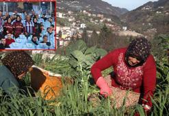 Karadeniz kadınının yayladan stadyuma uzanan Trabzonspor tutkusu