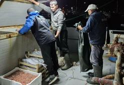 Çanakkale’de yasa dışı avlanan 525 kilo balığa el konuldu