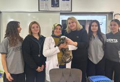 Okul bahçesinde bulunan kalçası kırık kedi, tedavi edildi