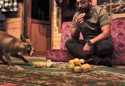 ‘Tilko’ ismini verdiği tilkiyi elleriyle besliyor