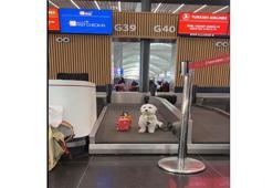 Dünya turundaki köpek ‘Tofu’ İstanbul Havalimanı’nda