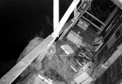 İki gün üst üste balkona tırmanan ayı kovanları parçalayıp, balları yedi; o anlar kamerada