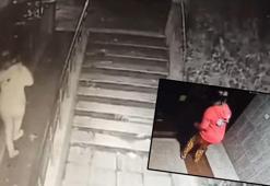 Beylikdüzü'nde 4 farklı adresi kundaklayan kadın yakalandı