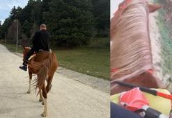 Bindiği at, huysuzlanıp koşmaya başlayınca panik yaşadı; o anlar kamerada