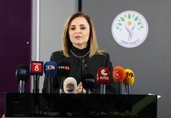 DEM Parti'li Doğan: Her şey gizlenmeden paylaşılmalı